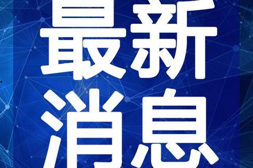 农村纠纷爆料案例最新视频,邻里矛盾升级，调解过程引关注
