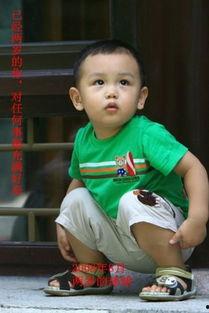 明星球球的图片,光影交织下的璀璨星光