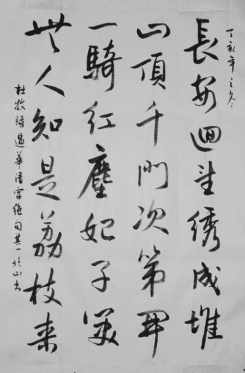 杨贵妃马背承欢的视频,杨贵妃的传奇瞬间