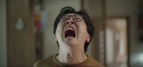 迫田由香里在线播放,揭开日本偶像的璀璨魅力