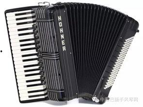 日本簧片在线,传承与创新中的民族音乐瑰宝