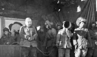 谢文东5免费网站观看,揭秘热门剧集背后的精彩故事