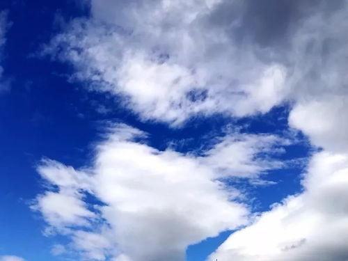 故乡的天空在线免费观看,免费在线重温家乡碧空如洗的美好时光