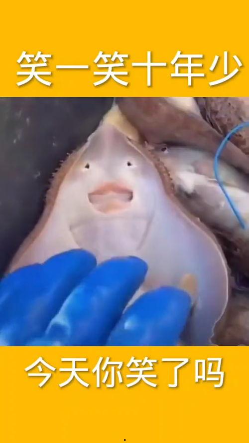 搞笑世界爆料视频