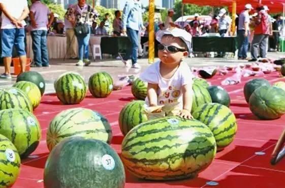 吃瓜大赛在线播放